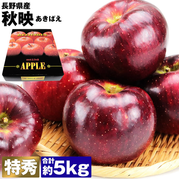 【市場品】【冷蔵】長野県産秋映約5kg