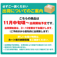【市場品】【常温】中島みかん優品約10kg