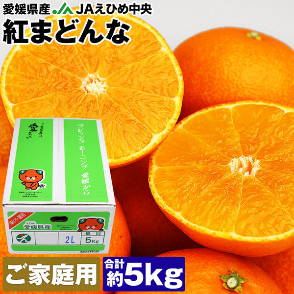 【市場品】【常温】紅まどんな良以上約5kg