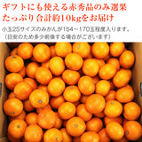 【市場品】【常温】有田みかん2S赤秀10kg