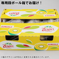 【市場品】【冷蔵】ゼスプリゴールドキウイ約5kg