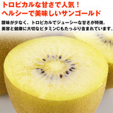 【市場品】【冷蔵】ゼスプリゴールドキウイ約5kg