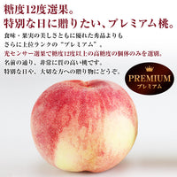 【市場品】【冷蔵】品種厳選贈答用桃プレミアム約1.2kg