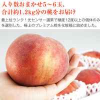 【市場品】【冷蔵】品種厳選贈答用桃プレミアム約1.2kg