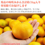 【市場品】【常温】味咲みかん3kg