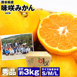 【市場品】【常温】味咲みかん3kg