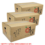 【市場品】【常温】味咲みかん3kg×3