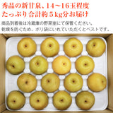 【市場品】【冷蔵】鳥取県産新甘泉5kg秀
