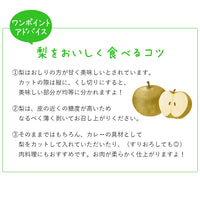 【市場品】【冷蔵】鳥取県産新甘泉5kg秀