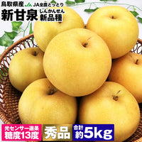 【市場品】【冷蔵】鳥取県産新甘泉5kg秀