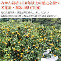 【市場品】【常温】有田みかん赤秀2S小玉4.7kg