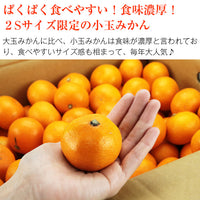 【市場品】【常温】有田みかん赤秀2S小玉2.7kg