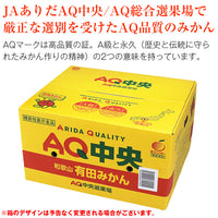 【市場品】【常温】有田みかん赤秀4.7kg