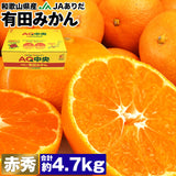 【市場品】【常温】有田みかん赤秀4.7kg