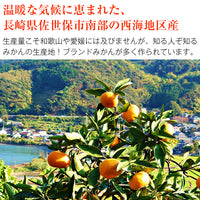 【市場品】【常温】味まるみかん青秀4.7kg