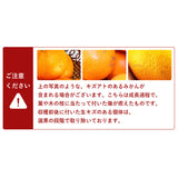 【市場品】【常温】味まるみかん青秀4.7kg
