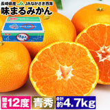 【市場品】【常温】味まるみかん青秀4.7kg
