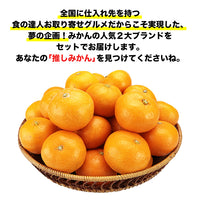 【市場品】【常温】みかん2種有田＆味まる各2.7kg