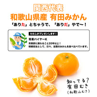 【市場品】【常温】みかん2種有田＆味まる各2.7kg