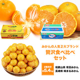 【市場品】【常温】みかん2種有田＆味まる各2.7kg