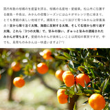 【市場品】【常温】みかん2種有田＆中島各2.7kg