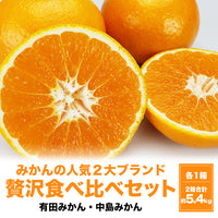 【市場品】【常温】みかん2種有田＆中島各2.7kg