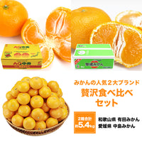 【市場品】【常温】みかん2種有田＆中島各2.7kg