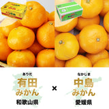 【市場品】【常温】みかん2種有田＆中島各2.7kg