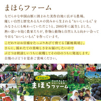 【直送品】上出来シャイン2房1.5kg以上ヤギさん無地熨斗