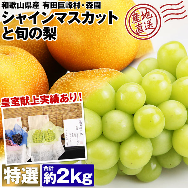 【直送品】シャインと旬の梨2kg