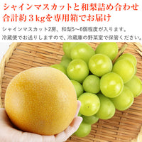 【直送品】シャインと旬の梨3kg
