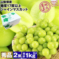 【直送品】山梨シャイン1kg以上