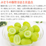 【直送品】山梨シャイン1kg以上
