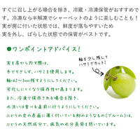 【直送品】山梨シャイン1kg以上