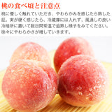 【直送品】白桃ご家庭用3kg