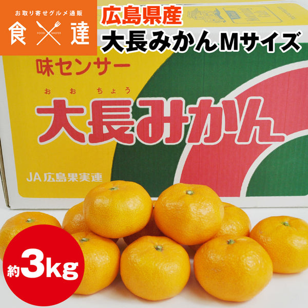 【直送品】広島県産大長みかん3kg