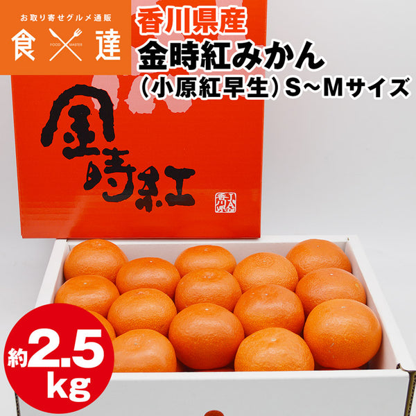 【直送品】香川県産金時紅みかん2.5kg