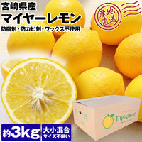 【直送品】国産マイヤーレモン3kg