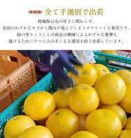 【直送品】国産マイヤーレモン3kg