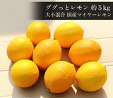 【直送品】国産マイヤーレモン5kg