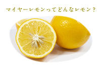 【直送品】国産マイヤーレモン10kg