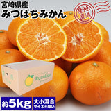 【直送品】みつばちみかん5kg