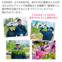 【直送品】FARMER’SFARMER桃