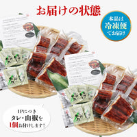 【市場品】【冷凍】うなぎ蒲焼きカット5食×2