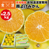 【直送品】雨よけみかん約2.5kg