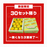 【直送品】雨よけみかん約2.5kg