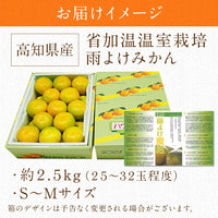 【直送品】雨よけみかん約2.5kg