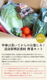 【直送品】明日香村野菜セット