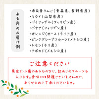 【直送品】フルーツ特盛セット