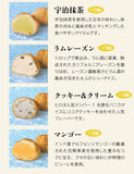 【直送品】シューアイス22個